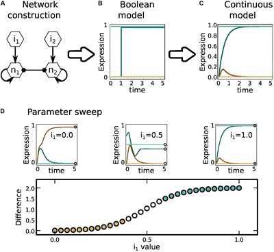 Role of Cytokine Combinations on CD4+ T Cell Differentiation, Partial Polarization, and Plasticity: Continuous Network Modeling Approach